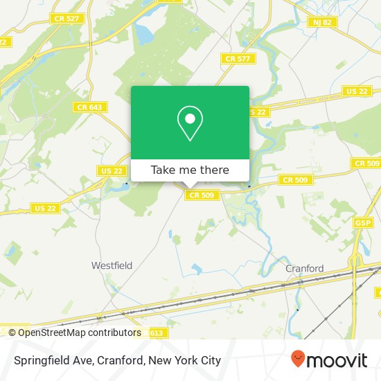 Mapa de Springfield Ave, Cranford