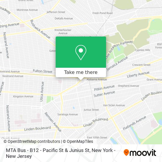 Mapa de MTA Bus - B12 - Pacific St & Junius St