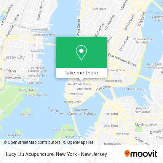 Lucy Liu Acupuncture map