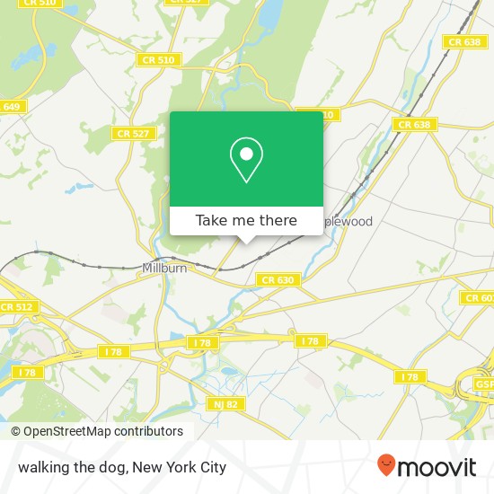 walking the dog map