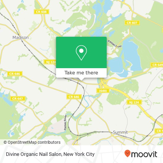 Divine Organic Nail Salon map