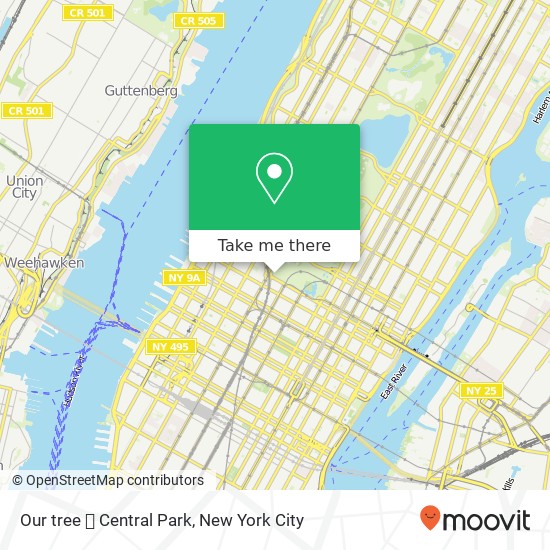 Our tree  Central Park map