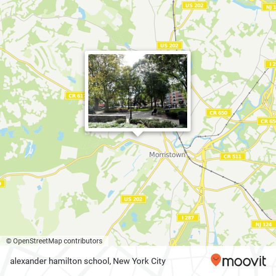 Mapa de alexander hamilton school