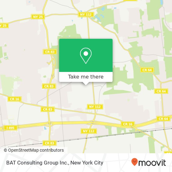 BAT Consulting Group Inc. map