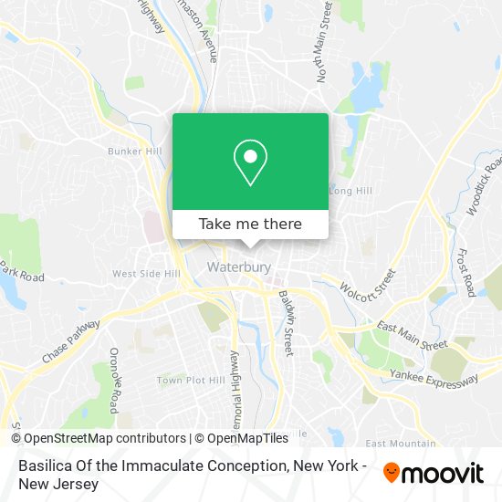 Mapa de Basilica Of the Immaculate Conception