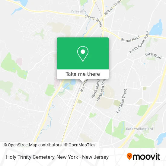 Holy Trinity Cemetery map