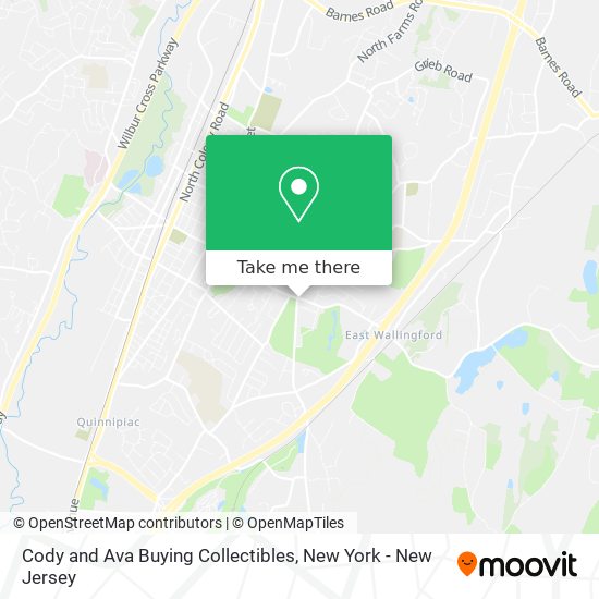 Cody and Ava Buying Collectibles map
