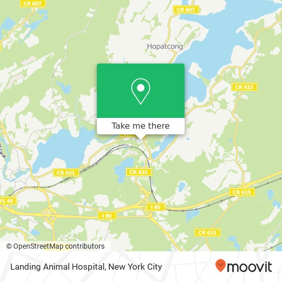 Landing Animal Hospital map