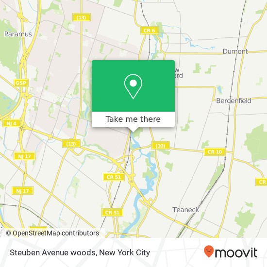 Mapa de Steuben Avenue woods