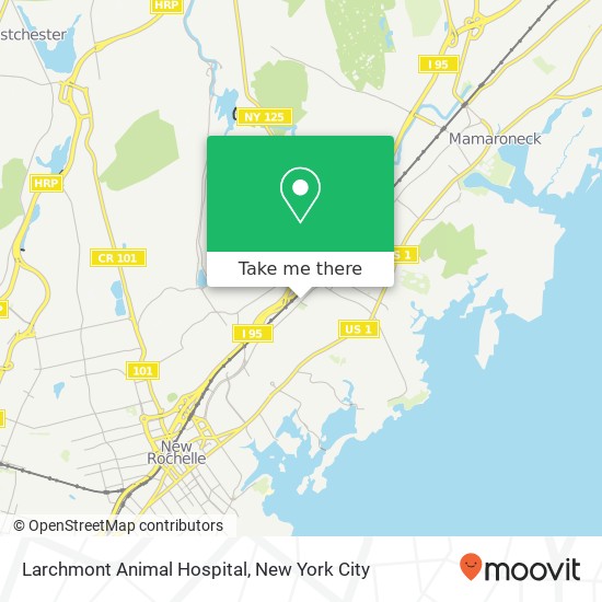 Mapa de Larchmont Animal Hospital