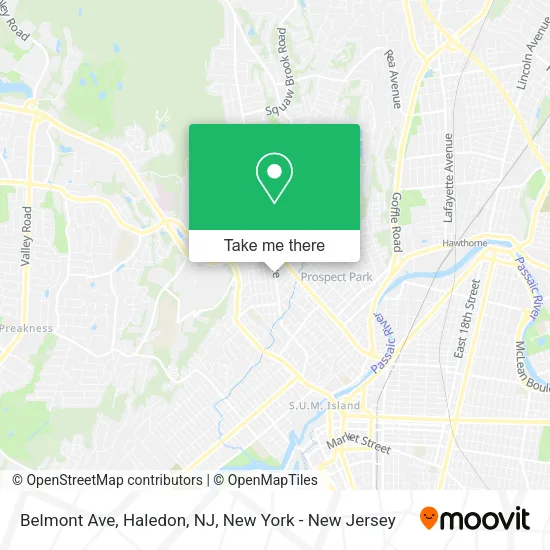 Belmont Ave, Haledon, NJ map