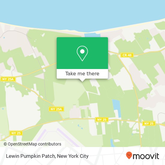 Lewin Pumpkin Patch map
