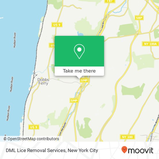 DML Lice Removal Services map