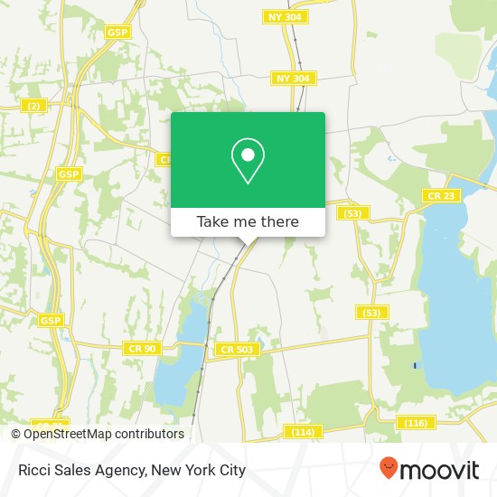 Ricci Sales Agency map