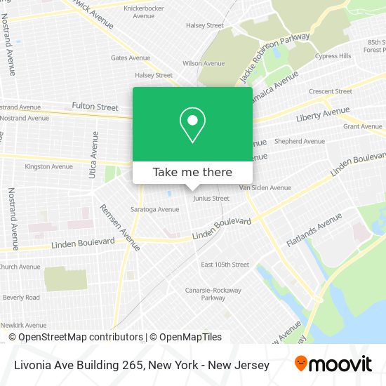 Livonia Ave Building 265 map