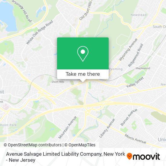 Avenue Salvage Limited Liability Company map