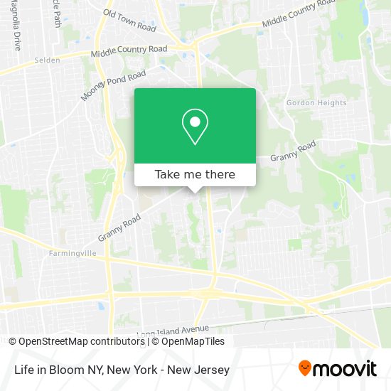 Life in Bloom NY map