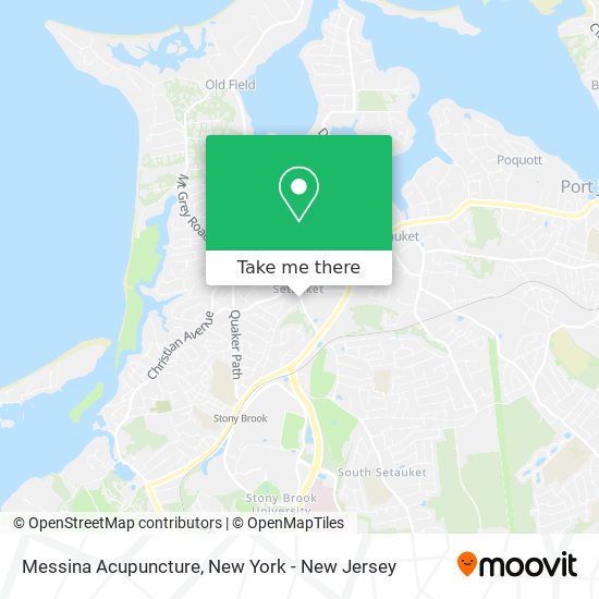 Messina Acupuncture map