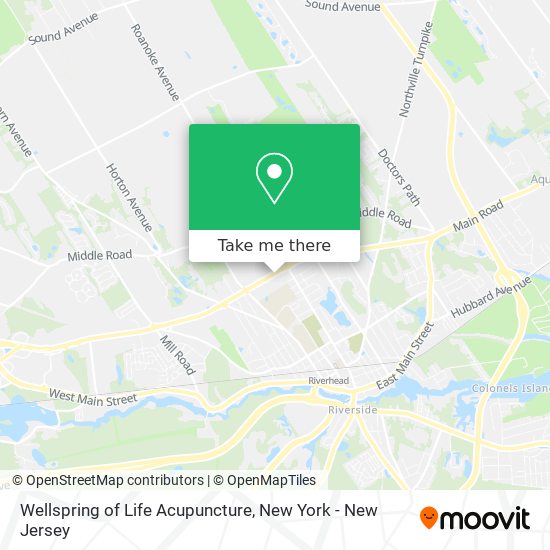 Wellspring of Life Acupuncture map