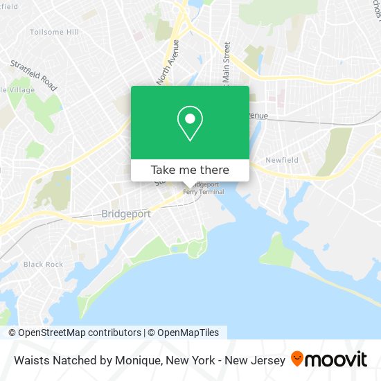 Waists Natched by Monique map