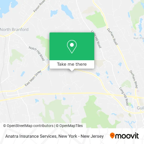 Anatra Insurance Services map