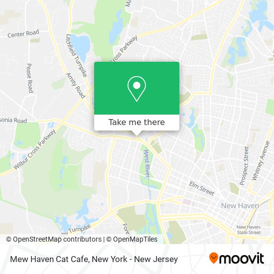 Mew Haven Cat Cafe map
