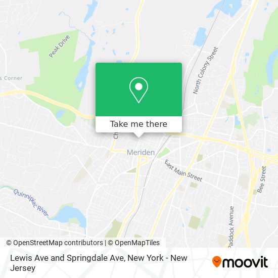 Lewis Ave and Springdale Ave map