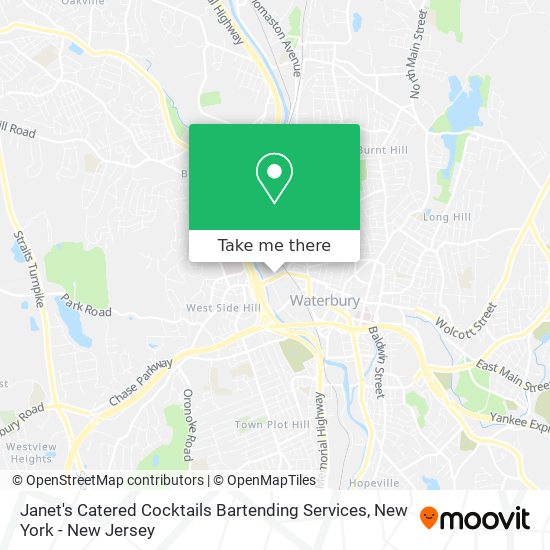 Janet's Catered Cocktails Bartending Services map