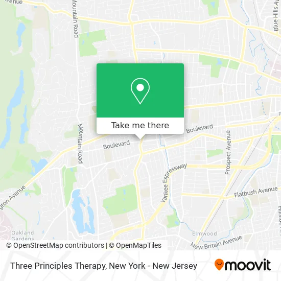 Three Principles Therapy map