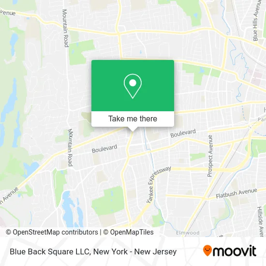 Blue Back Square LLC map