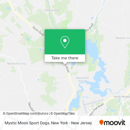 Mapa de Mystic Moon Sport Dogs