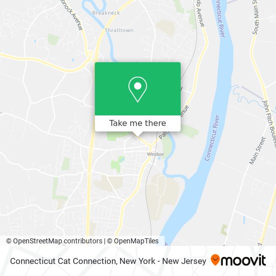 Mapa de Connecticut Cat Connection