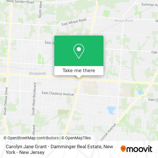 Mapa de Carolyn Jane Grant - Damminger Real Estate