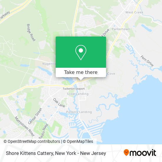 Shore Kittens Cattery map