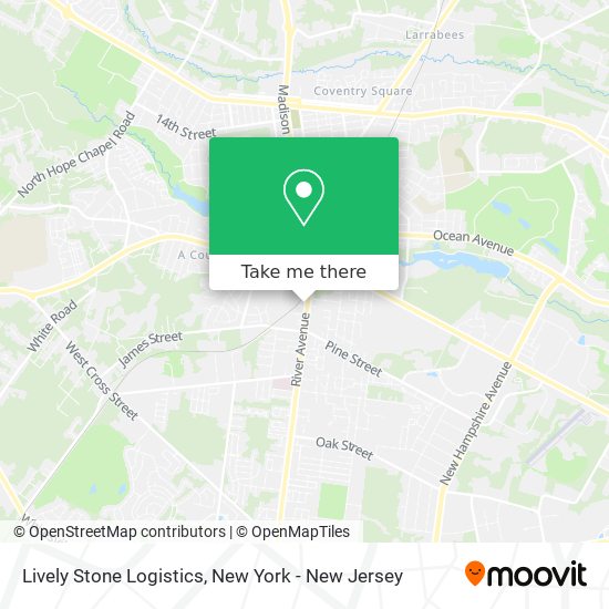 Lively Stone Logistics map