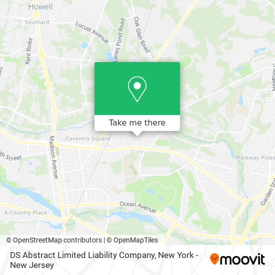 DS Abstract Limited Liability Company map