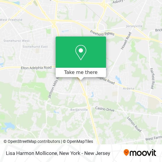 Mapa de Lisa Harmon Mollicone