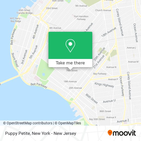 Puppy Petite map