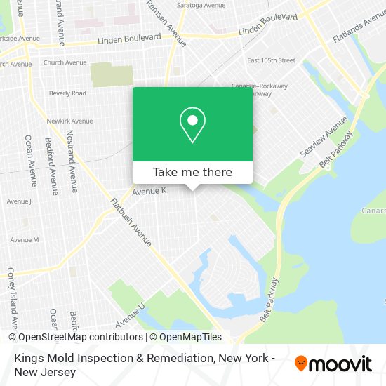 Kings Mold Inspection & Remediation map