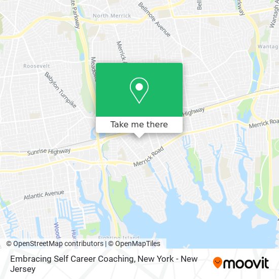 Embracing Self Career Coaching map