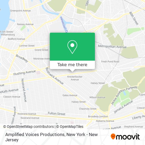 Mapa de Amplified Voices Productions