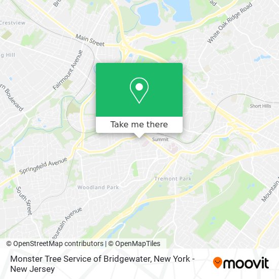 Mapa de Monster Tree Service of Bridgewater