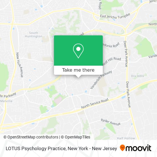 Mapa de LOTUS Psychology Practice