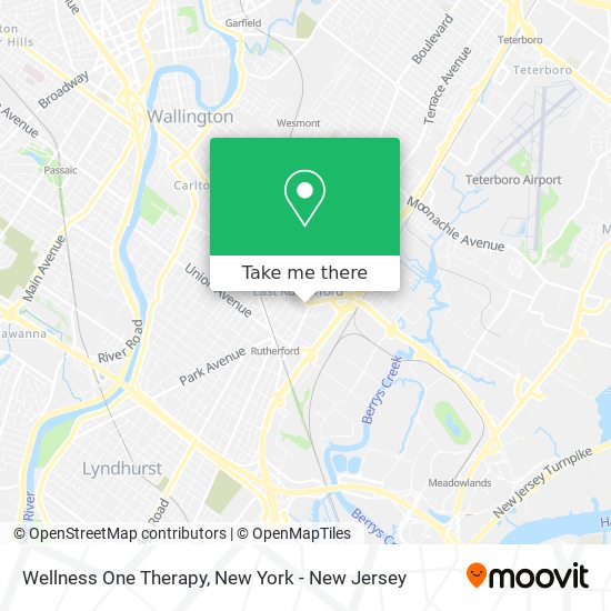 Wellness One Therapy map