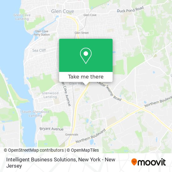 Intelligent Business Solutions map