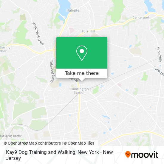 Mapa de Kay9 Dog Training and Walking