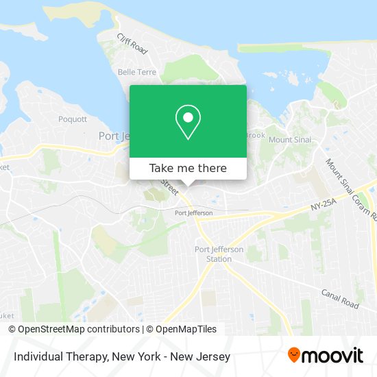 Mapa de Individual Therapy