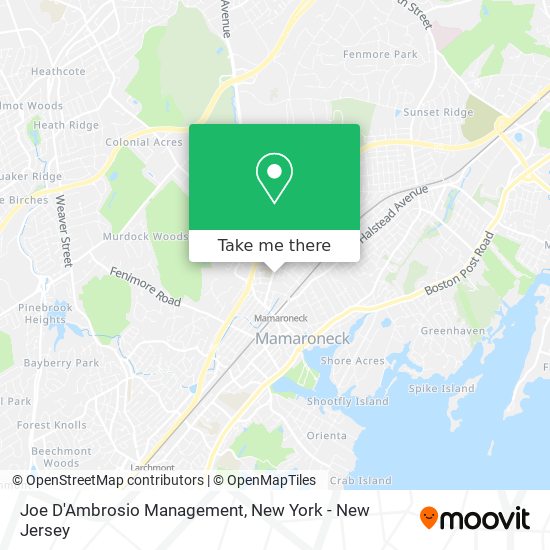 Joe D'Ambrosio Management map