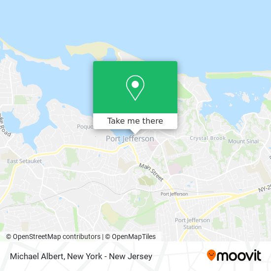 Michael Albert map