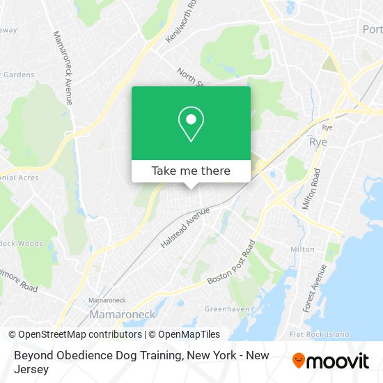 Beyond Obedience Dog Training map